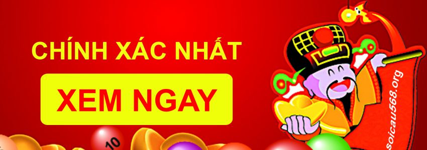 [Hỏi Đáp] Giải mã giấc mơ thấy thạch sùng – Mơ thấy hai con thạch sùng là điềm báo gì?